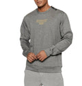 Felpa uomo Guess Stephen grigio ES22GU52 Z2RQ04KAYO2