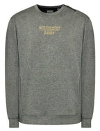 Felpa uomo Guess Stephen grigio ES22GU52 Z2RQ04KAYO2