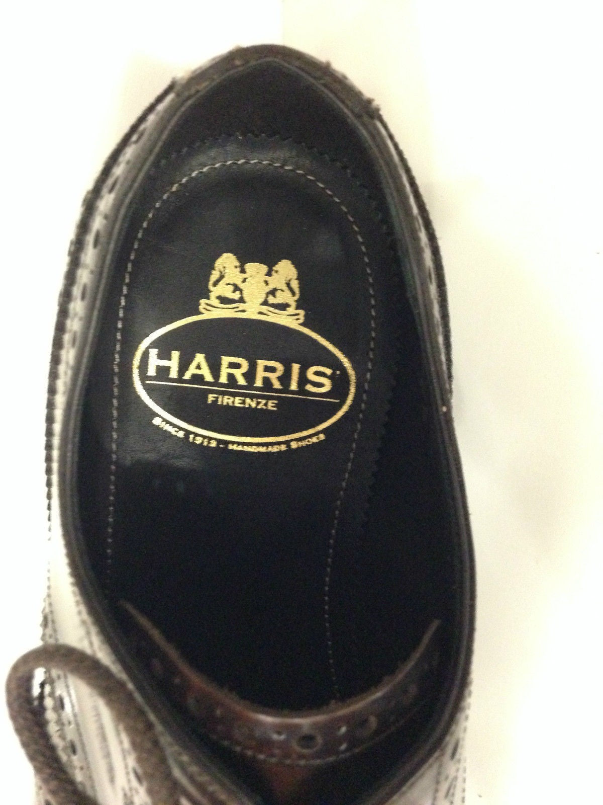 Scarpe uomo Harris anniversary brogue all derby abrasivato moro classico U15HA06